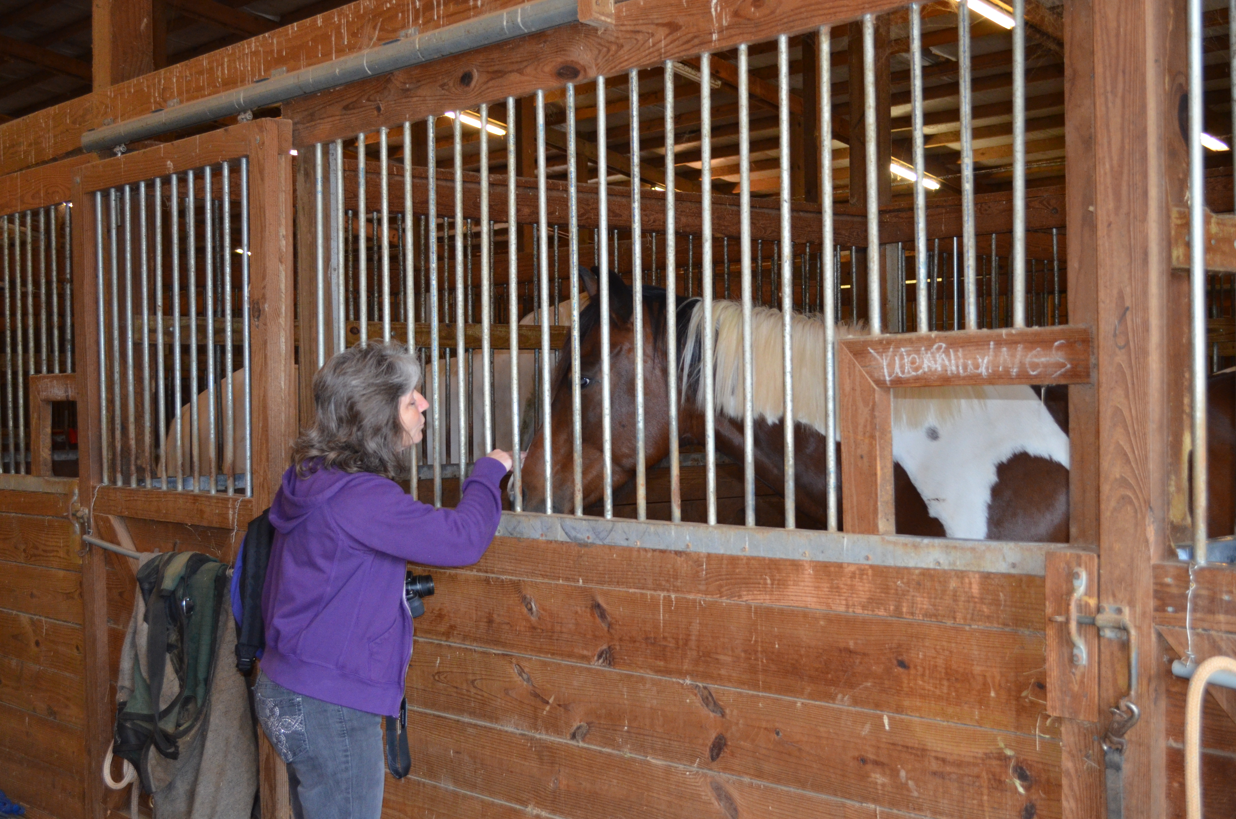 ./2013/Southern Cross Ranch/DSC_2246.JPG